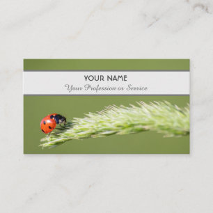 Positiver und glücklicher Ladybug für Zen und Bi Visitenkarte