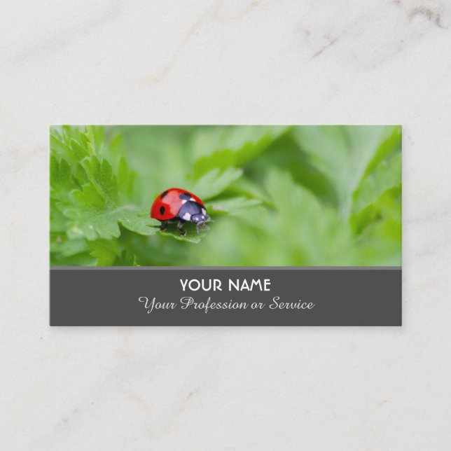 Positiver und glücklicher Ladybug für Zen und Bild Visitenkarte (Vorderseite)