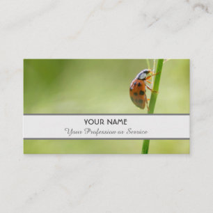 Positiver und glücklicher Ladybug für Zen und Bild Visitenkarte