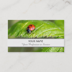Positiver und glücklicher Ladybug für Zen und Bild Visitenkarte