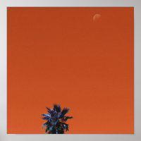 Positiver Vibes Tropical Palm Tree Moon Minimalism