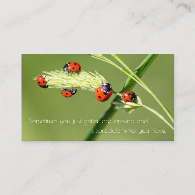 Positives motivierend Zitat mit kleinen Ladybugs Visitenkarte (Vorderseite)
