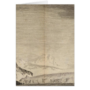 Possession Bay, Südgeorgien