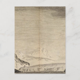 Possession Bay, Südgeorgien Postkarte