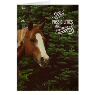 Possibilités infinies Paint Horse Mare
