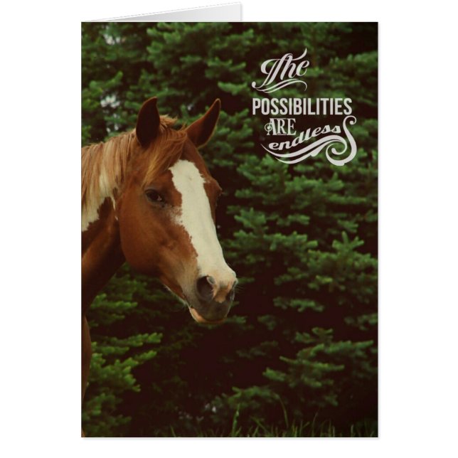 Possibilités infinies Paint Horse Mare (Devant)