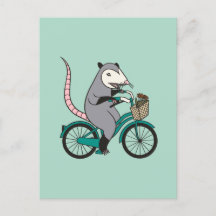 Possum Fahrrad fahren