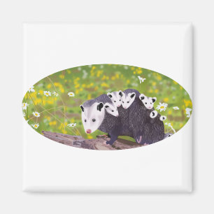 Possum Magnet