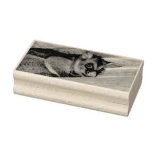 POSSUM QUEENSLAND AUSTRALIEN GUMMISTEMPEL