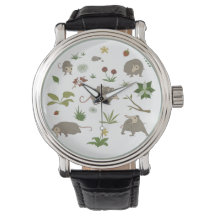 Possummen in einem Berry Field in White