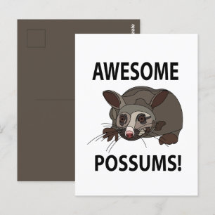 Possums Awesome Lustige Possums Postkarte