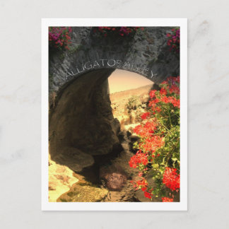 POST CARD Alligator Alley Postkarte