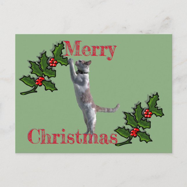 Post Card - Frohe Weihnachtsfeier und Katze Postkarte (Vorderseite)