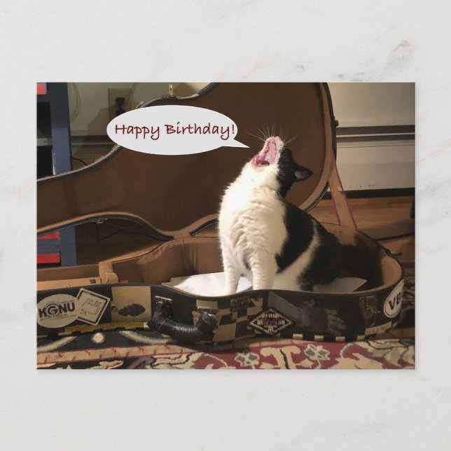 Post Card, Happy Birthday, Cat Singing Guitar Case Postkarte (Vorderseite)