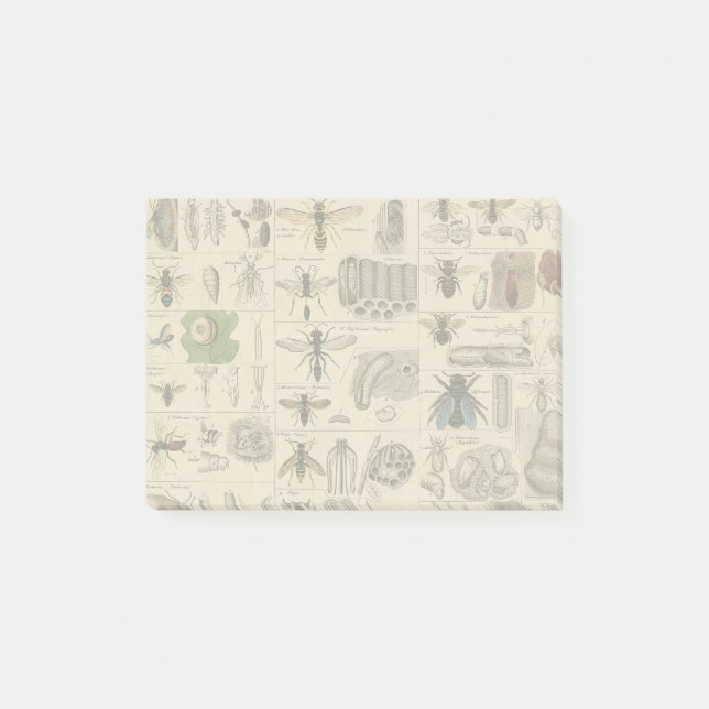 Post-it® Abeille Insecte Bug Wasp Nature Peinture des abeil (Devant)