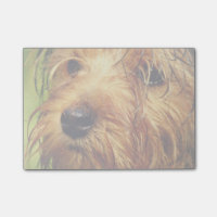 Adorable chien Terrier avec un visage humide