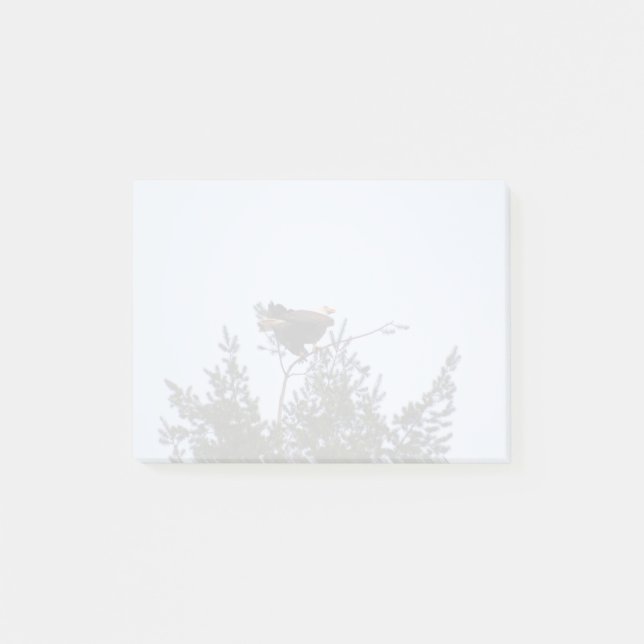 Post-it® Aigle de Bald (Devant)