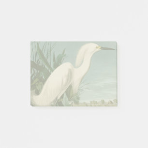 Post-it® Aigrette neigeuse d'Audubon oiseau héron blanc orn