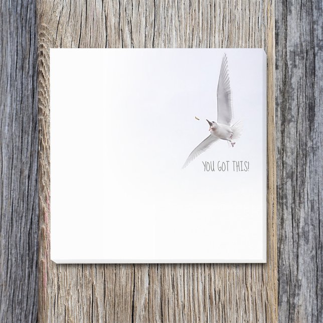 Post-it® Amusant Mouette Vous Avez Cette Fry Française Moti (Funny seagull post it note pad: "you got this!")