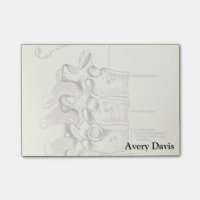Anatomie Vintage| Vertebrae