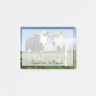 Post-it® Animaux de bébés cutest   Agneau nouveau-né & mama