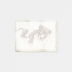 Post-it® Animaux de bébés cutest Baby Pit Bull Puppy