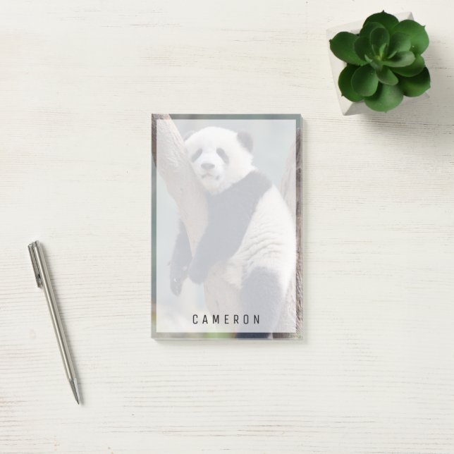Post-it® Animaux de bébés cutest | Bébé Panda Ours Dormir (Bureau)