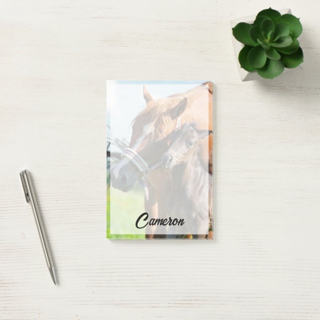 Post-it® Animaux de bébés cutest | Black Foy avec maman (Bureau)