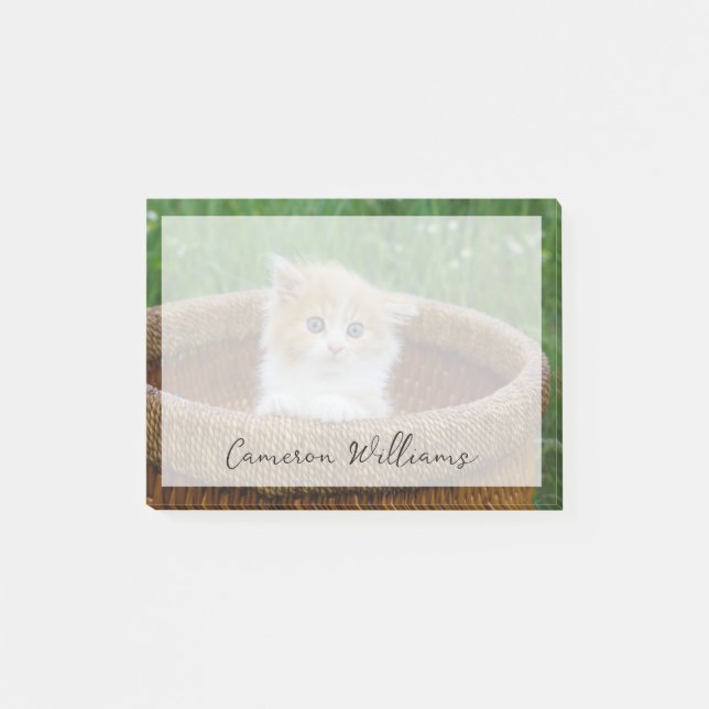 Post-it® Animaux de bébés cutest | Blue Eyed Kitten (Devant)