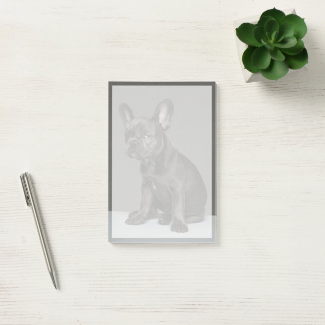 Post-it® Animaux de bébés cutest | Blue French Bulldog Pupp (Bureau)