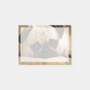 Post-it® Animaux de bébés cutest   Carlin bébé chiot