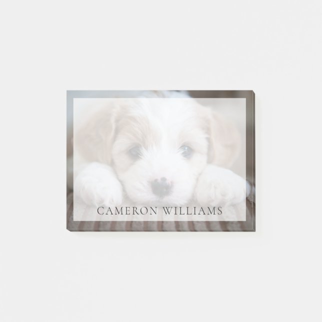 Post-it® Animaux de bébés cutest | Cavashon Puppy (Devant)