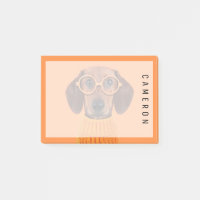 Animaux de bébés cutest | Chandail orange Dachshun