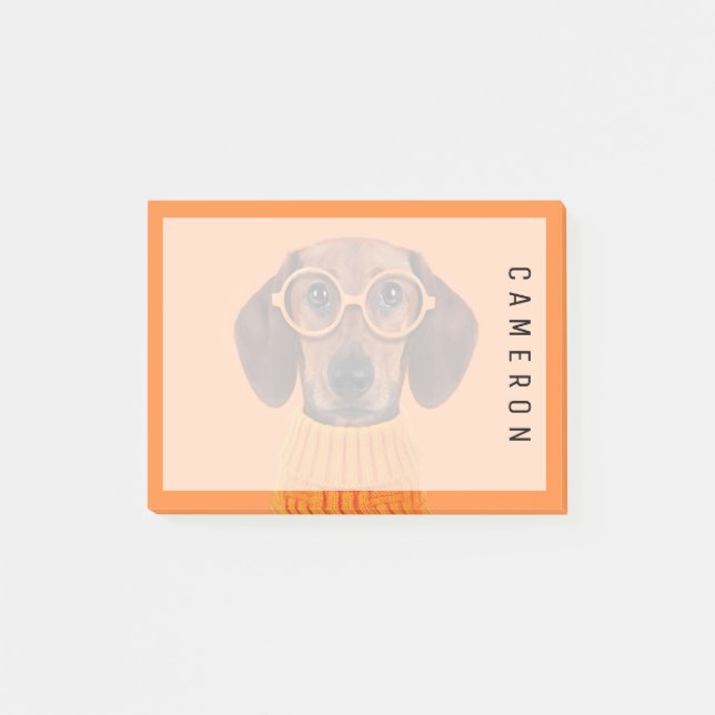Post-it® Animaux de bébés cutest | Chandail orange Dachshun (Devant)