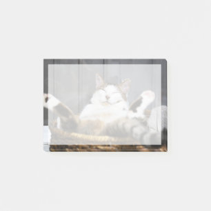 Post-it® Animaux de bébés cutest Chat dans le lit