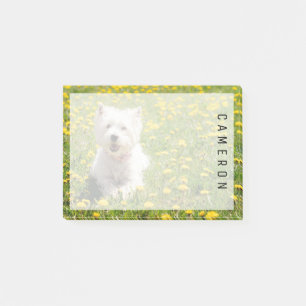 Post-it® Animaux de bébés cutest   Chien Westin en Dandelio