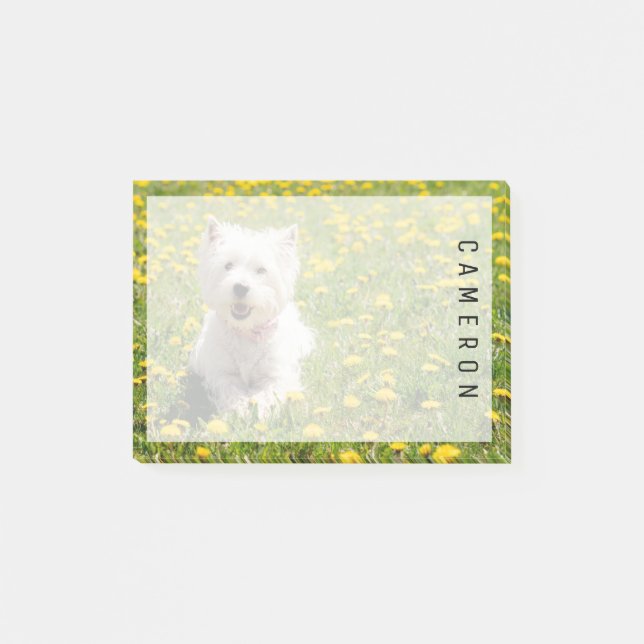 Post-it® Animaux de bébés cutest | Chien Westin en Dandelio (Devant)