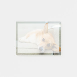 Post-it® Animaux de bébés cutest Chiot de Corgi sur canap