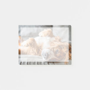 Post-it® Animaux de bébés cutest Cocker Spaniel