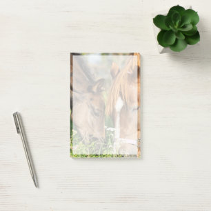 Post-it® Animaux de bébés cutest Colt à cheval