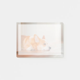 Post-it® Animaux de bébés cutest Corgi Sleeping