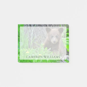 Post-it® Animaux de bébés cutest   Cube d'ours Brown