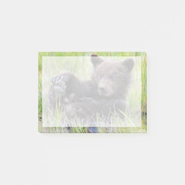 Post-it® Animaux de bébés cutest | Cute Brown Bear Cub Joue (Devant)