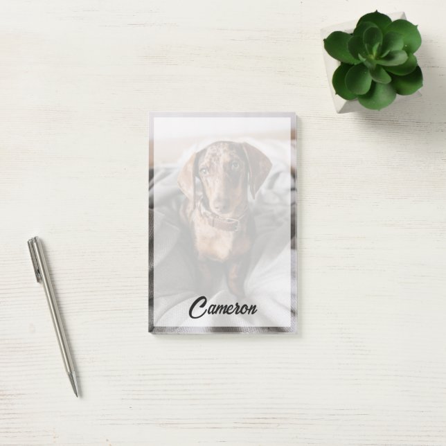 Post-it® Animaux de bébés cutest | Dachshund Dachshund Dach (Bureau)