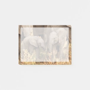 Post-it® Animaux de bébés cutest Deux jeunes éléphants