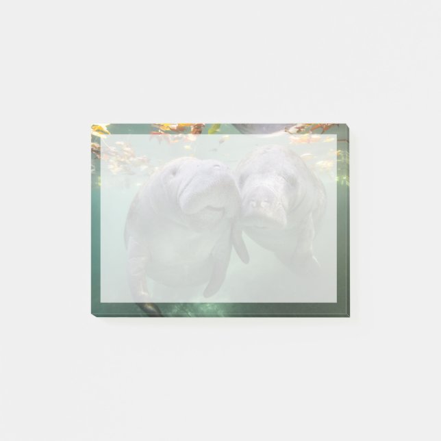 Post-it® Animaux de bébés cutest | Deux Manatees (Devant)