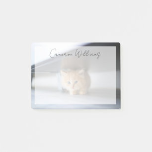 Post-it® Animaux de bébés cutest Fluffy Orange Kitten