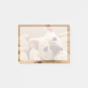 Post-it® Animaux de bébés cutest   French Bulldog Head Tilt