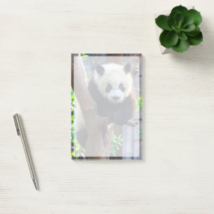Post-it® Animaux de bébés cutest Géant Panda Cub