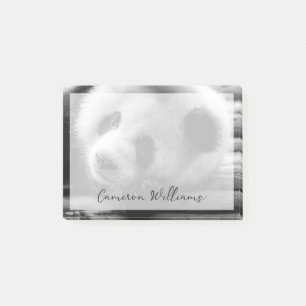 Post-it® Animaux de bébés cutest Giant Panda Bear Cub